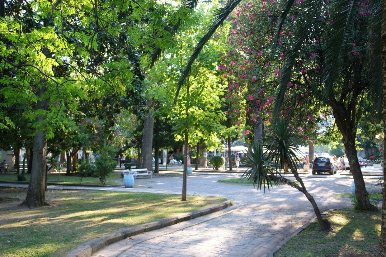 budva paragliding montenegro alley